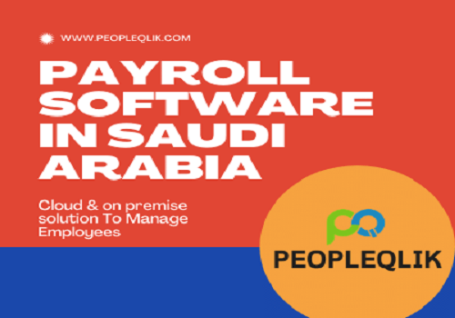 The Best Accounting and Payroll Software in Saudi Arabia for Business 